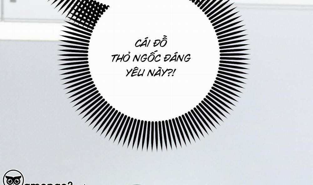 Đàn Thỏ Của Habibi 51 trang 206