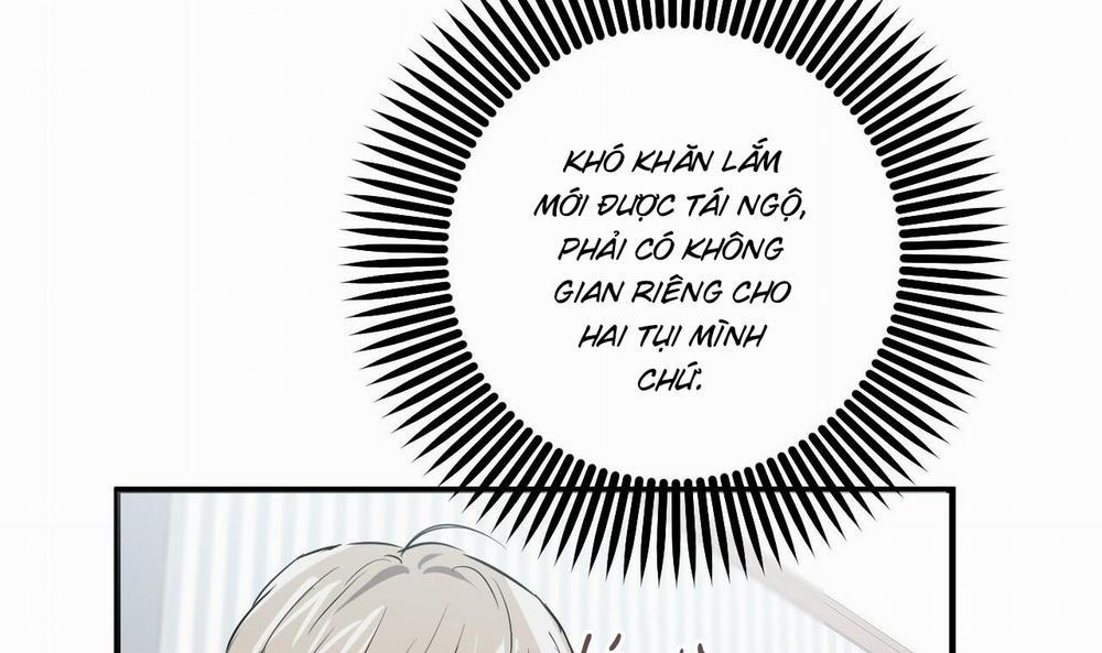 Đàn Thỏ Của Habibi 51 trang 211