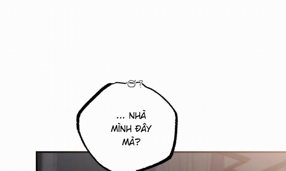 Đàn Thỏ Của Habibi 51 trang 22