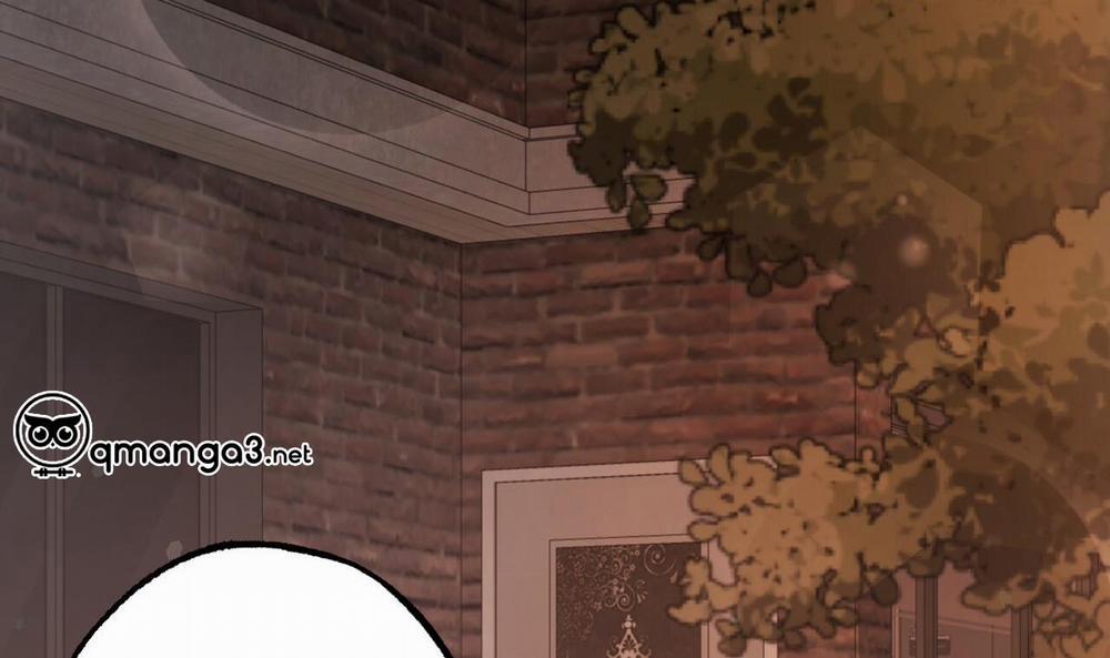 Đàn Thỏ Của Habibi 51 trang 225