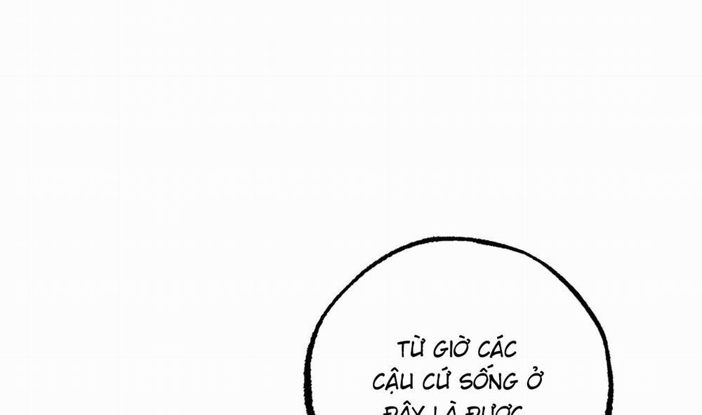 Đàn Thỏ Của Habibi 51 trang 228