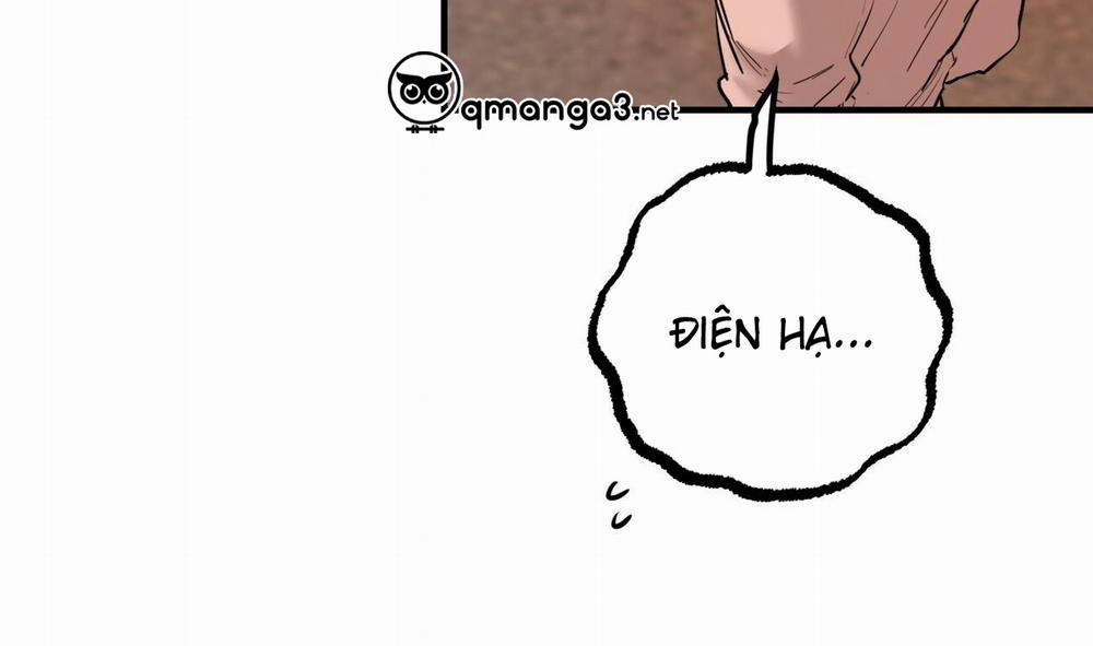 Đàn Thỏ Của Habibi 51 trang 232