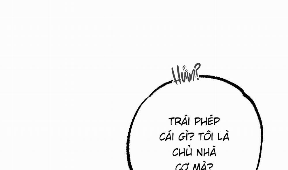 Đàn Thỏ Của Habibi 51 trang 238