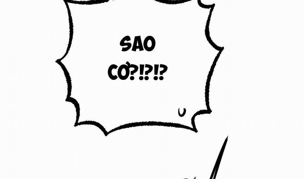 Đàn Thỏ Của Habibi 51 trang 241