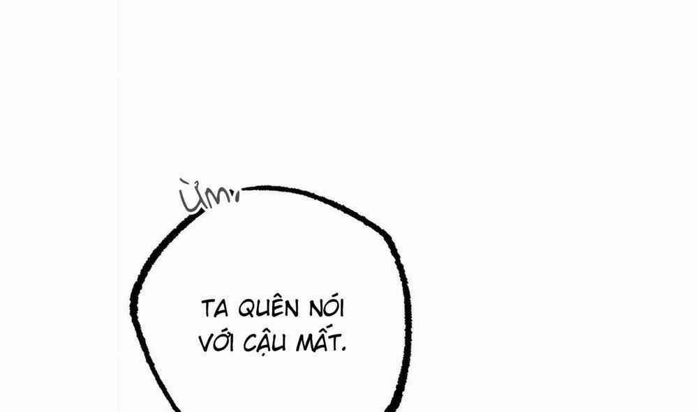 Đàn Thỏ Của Habibi 51 trang 244