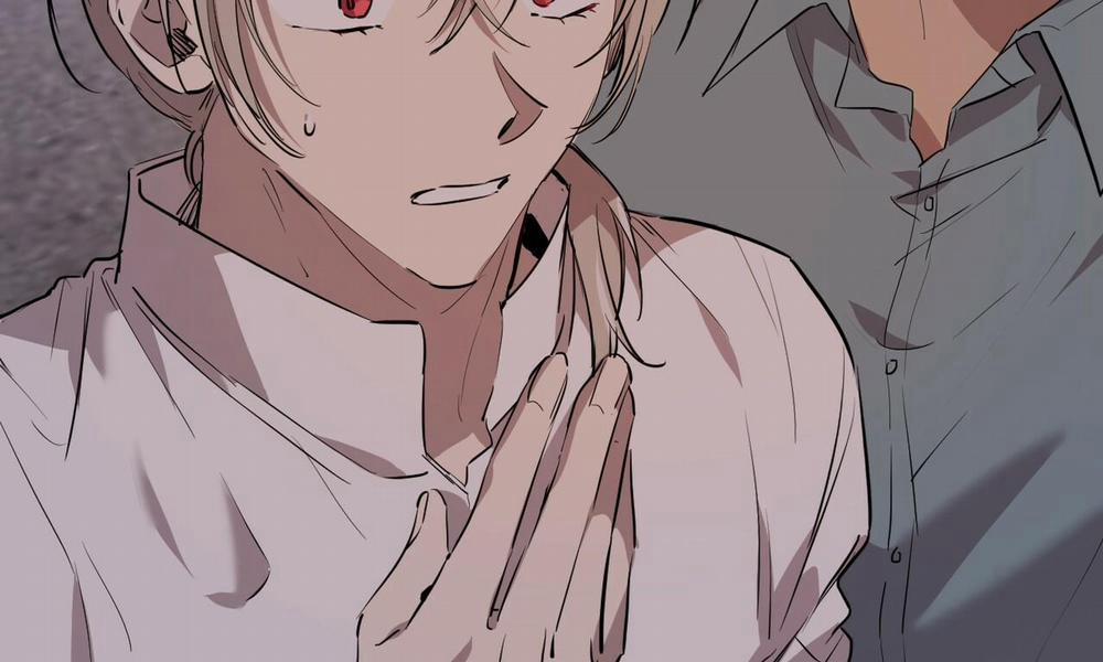 Đàn Thỏ Của Habibi 51 trang 251