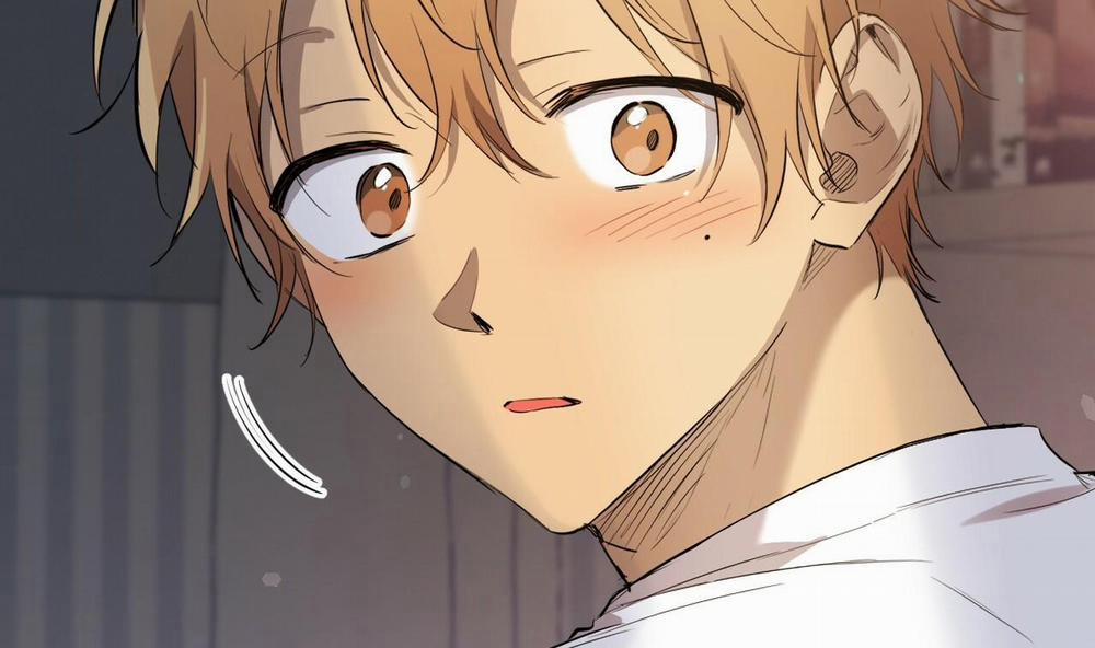 Đàn Thỏ Của Habibi 51 trang 27