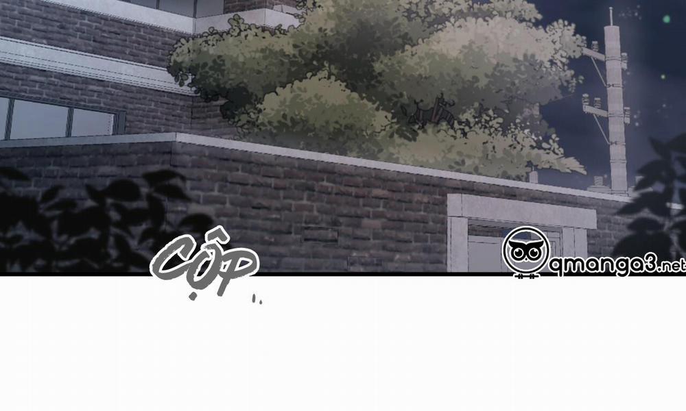 Đàn Thỏ Của Habibi 51 trang 275