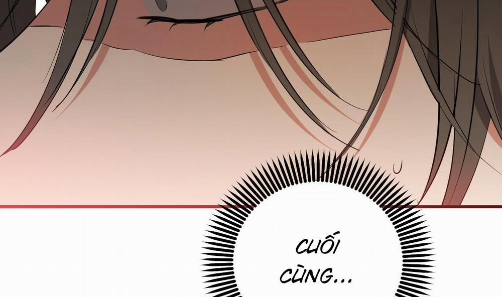 Đàn Thỏ Của Habibi 51 trang 281