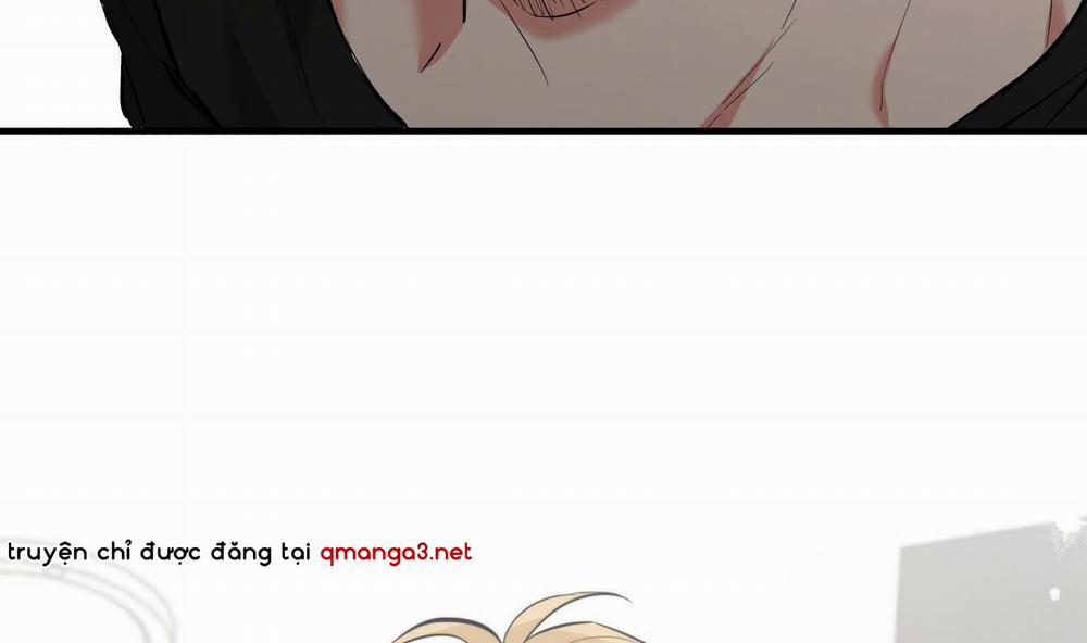 Đàn Thỏ Của Habibi 51 trang 295