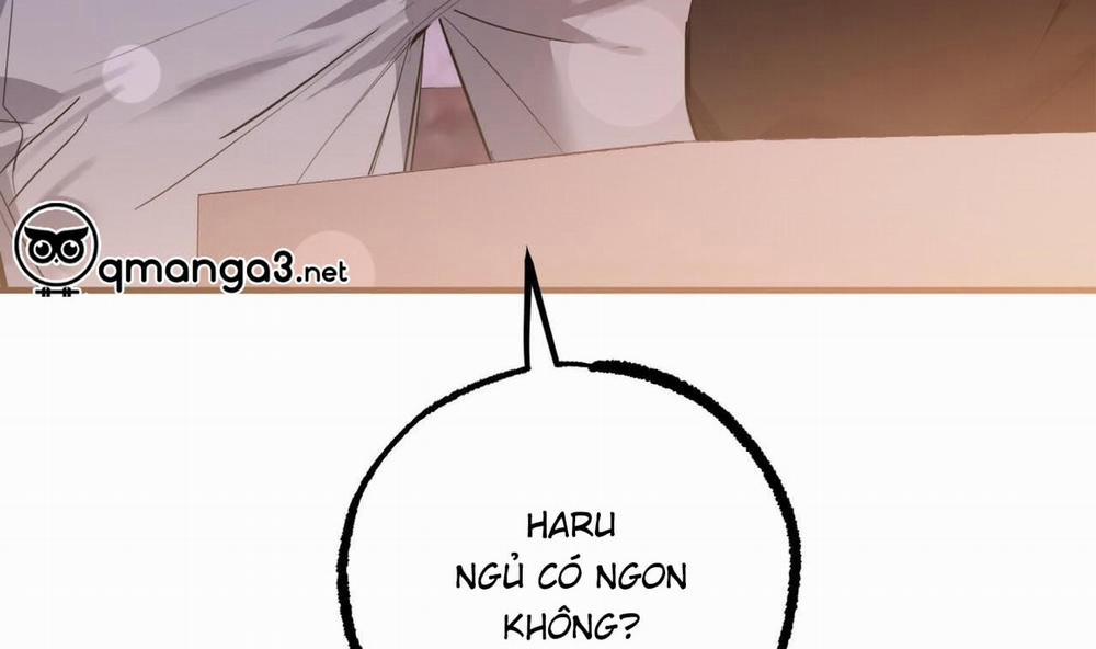 Đàn Thỏ Của Habibi 51 trang 33