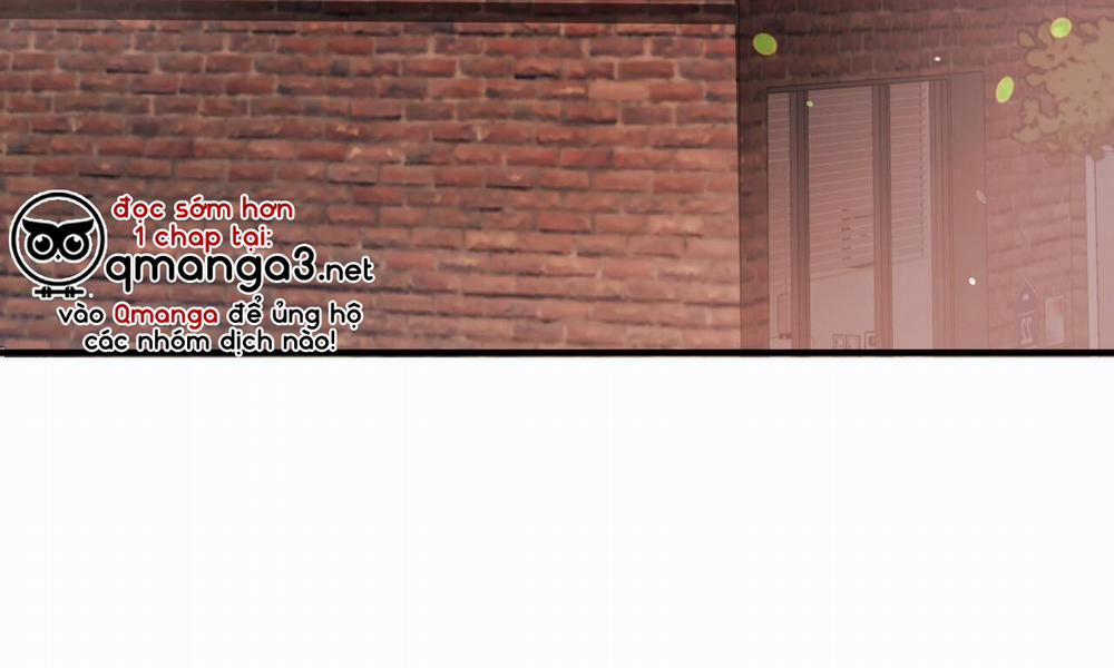 Đàn Thỏ Của Habibi 51 trang 4