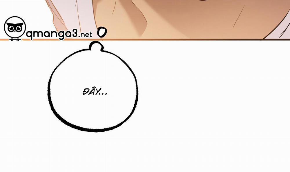 Đàn Thỏ Của Habibi 51 trang 40