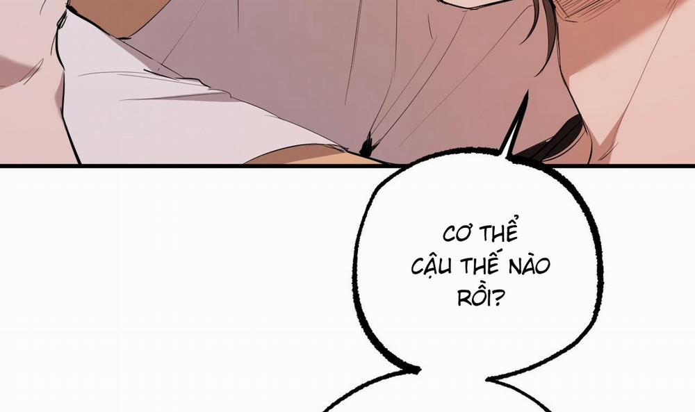 Đàn Thỏ Của Habibi 51 trang 55