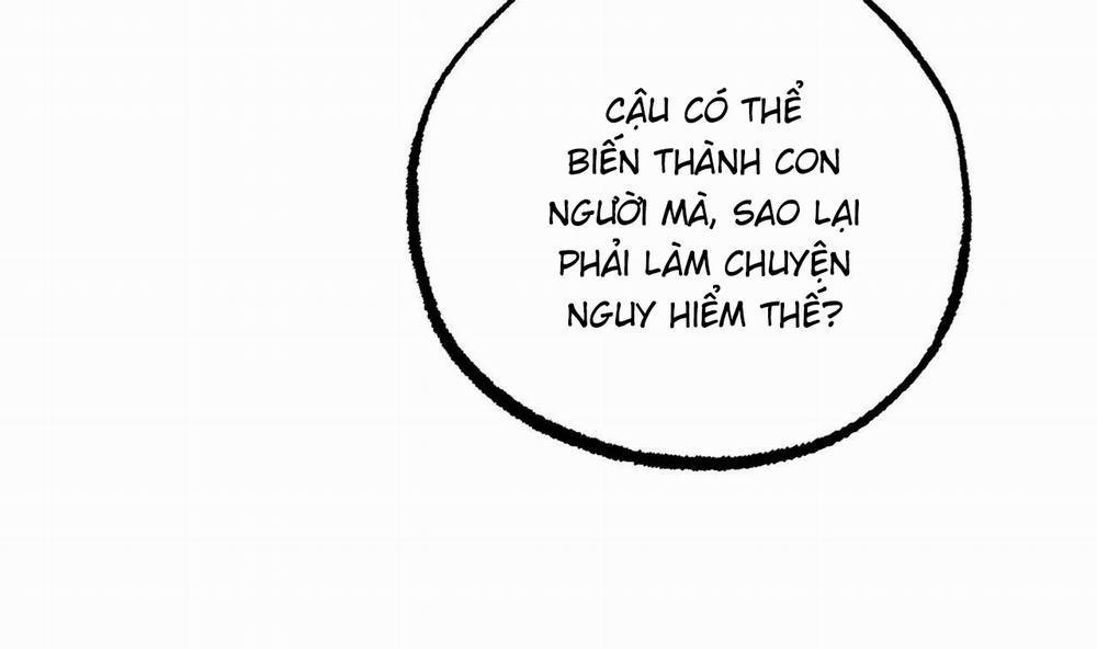 Đàn Thỏ Của Habibi 51 trang 56