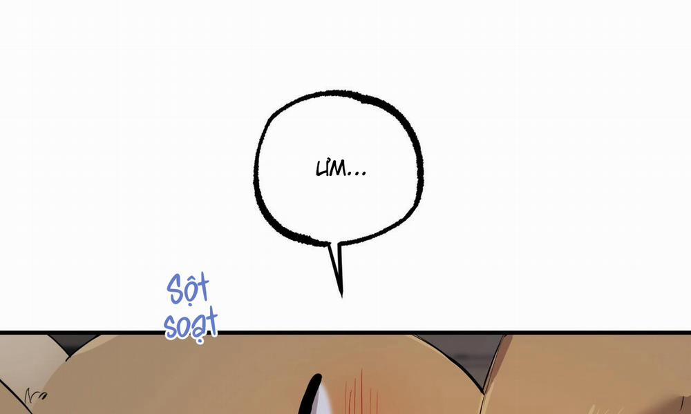 Đàn Thỏ Của Habibi 51 trang 9