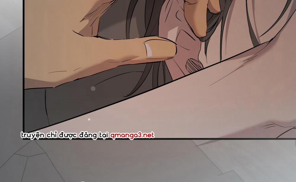 Đàn Thỏ Của Habibi 52 trang 114