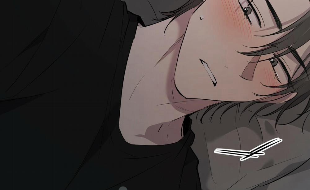 Đàn Thỏ Của Habibi 52 trang 118