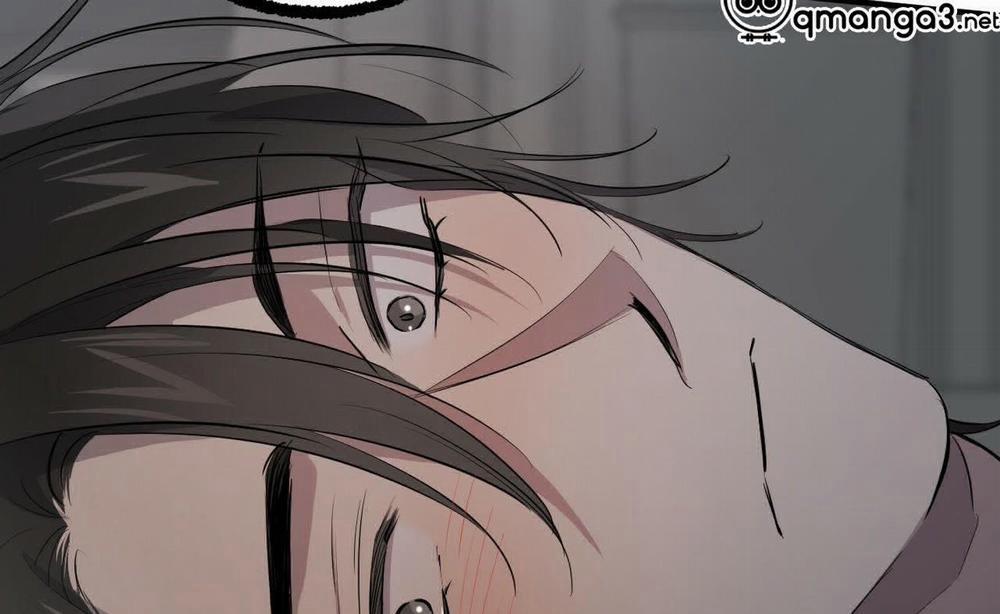 Đàn Thỏ Của Habibi 52 trang 125