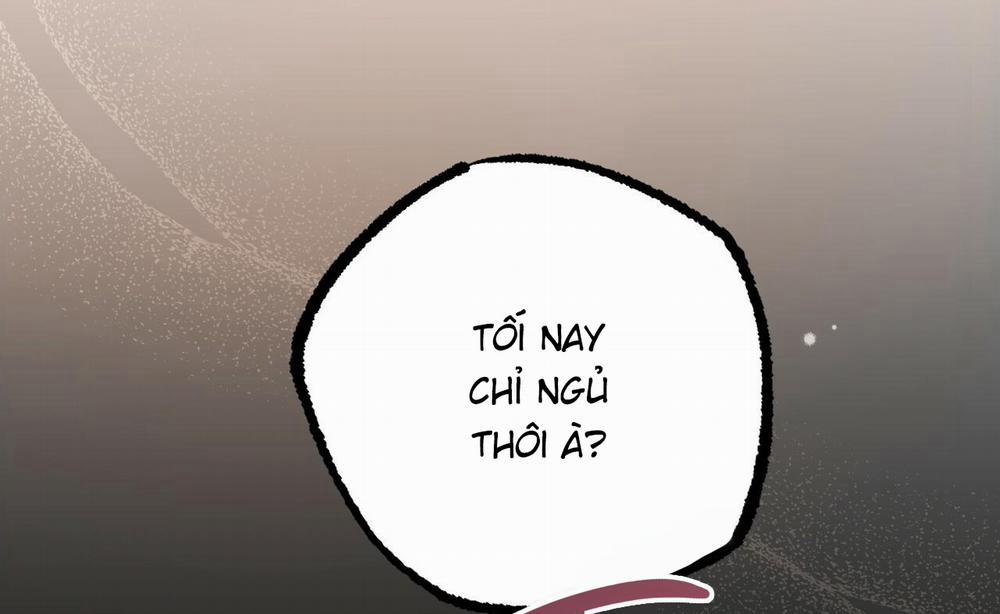 Đàn Thỏ Của Habibi 52 trang 134