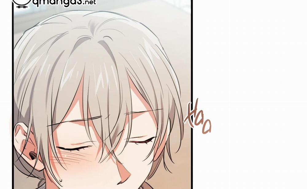 Đàn Thỏ Của Habibi 52 trang 144