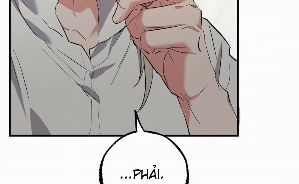 Đàn Thỏ Của Habibi 52 trang 168