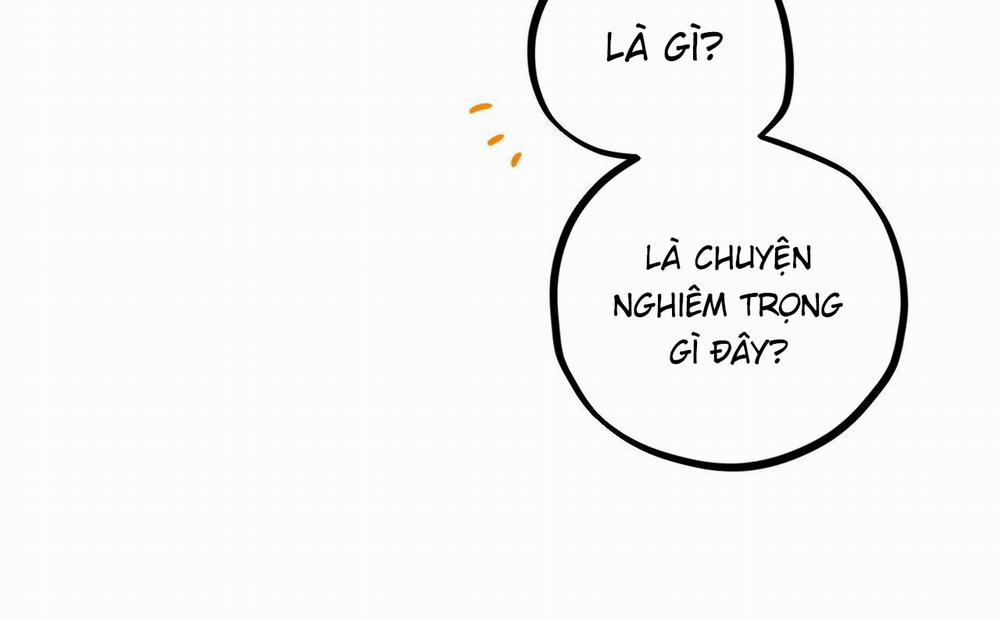 Đàn Thỏ Của Habibi 52 trang 185