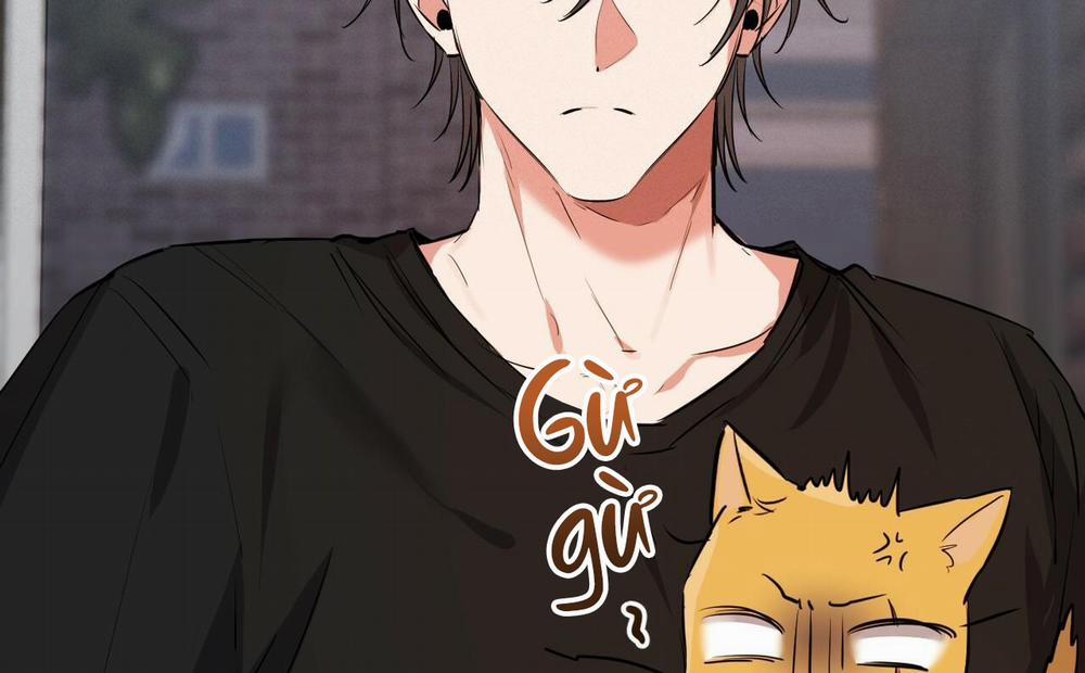 Đàn Thỏ Của Habibi 52 trang 194