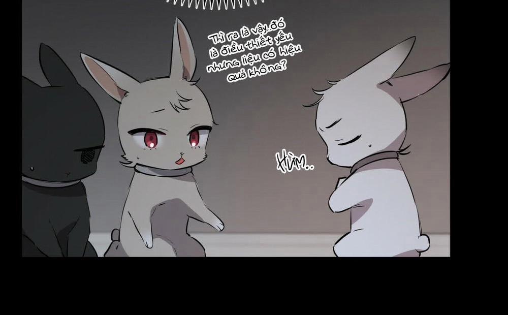 Đàn Thỏ Của Habibi 52 trang 22