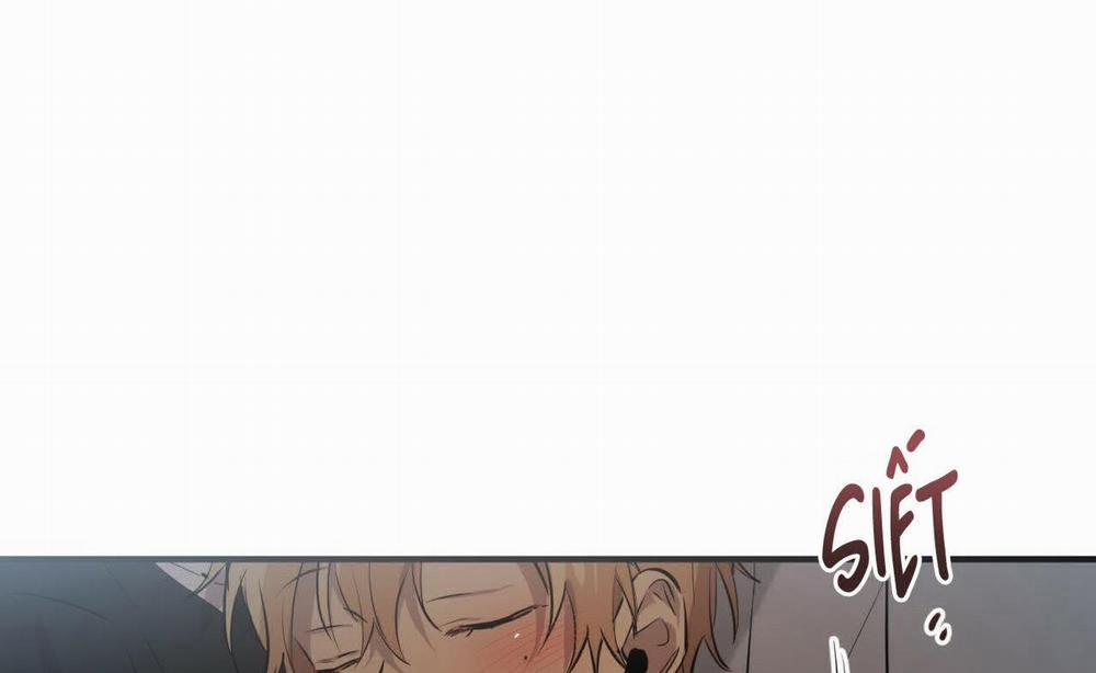 Đàn Thỏ Của Habibi 52 trang 243