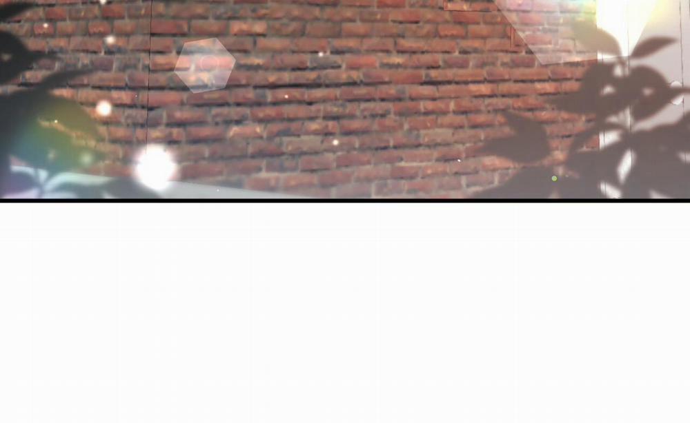 Đàn Thỏ Của Habibi 52 trang 256