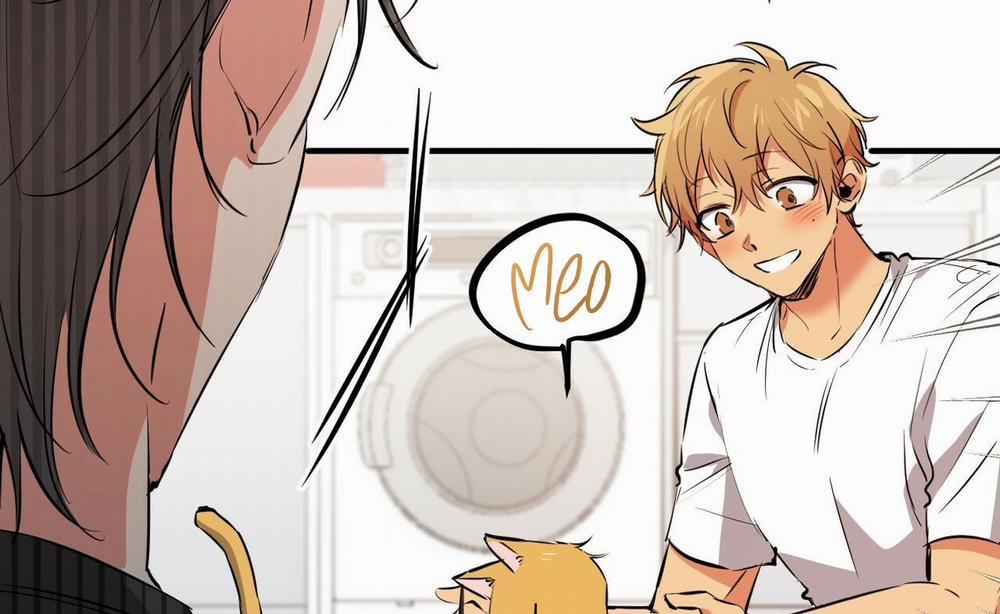 Đàn Thỏ Của Habibi 52 trang 48