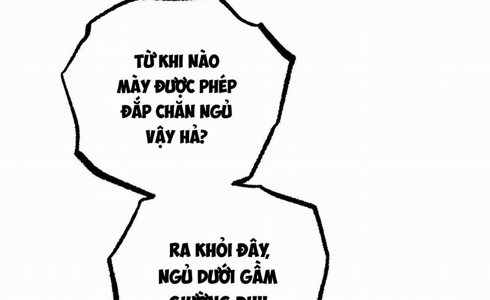 Đàn Thỏ Của Habibi 52 trang 56