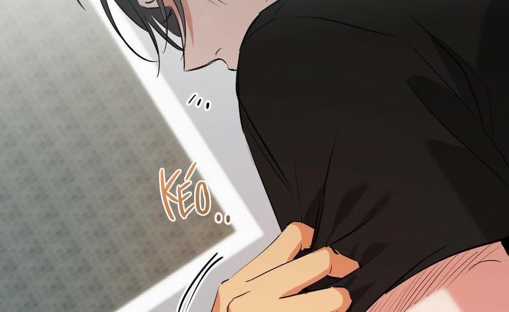 Đàn Thỏ Của Habibi 52 trang 62