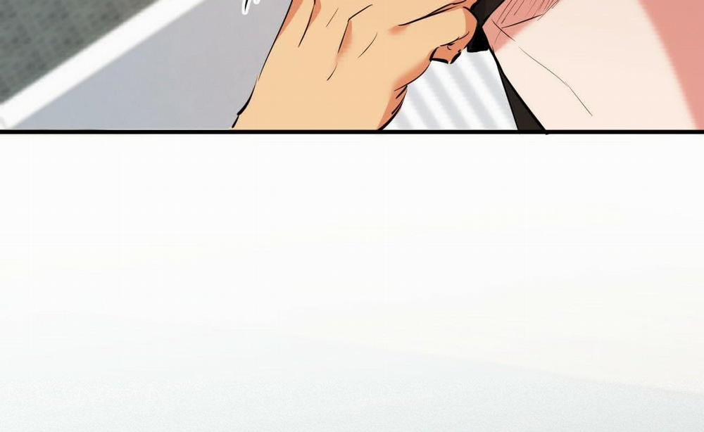 Đàn Thỏ Của Habibi 52 trang 63