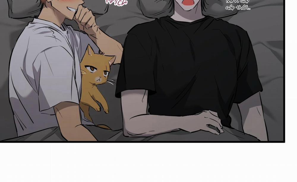 Đàn Thỏ Của Habibi 52 trang 79