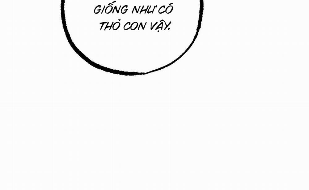 Đàn Thỏ Của Habibi 52 trang 84