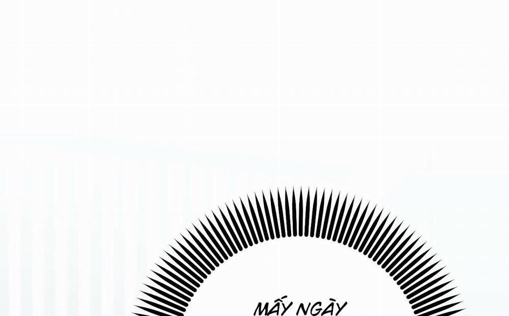 Đàn Thỏ Của Habibi 52 trang 9