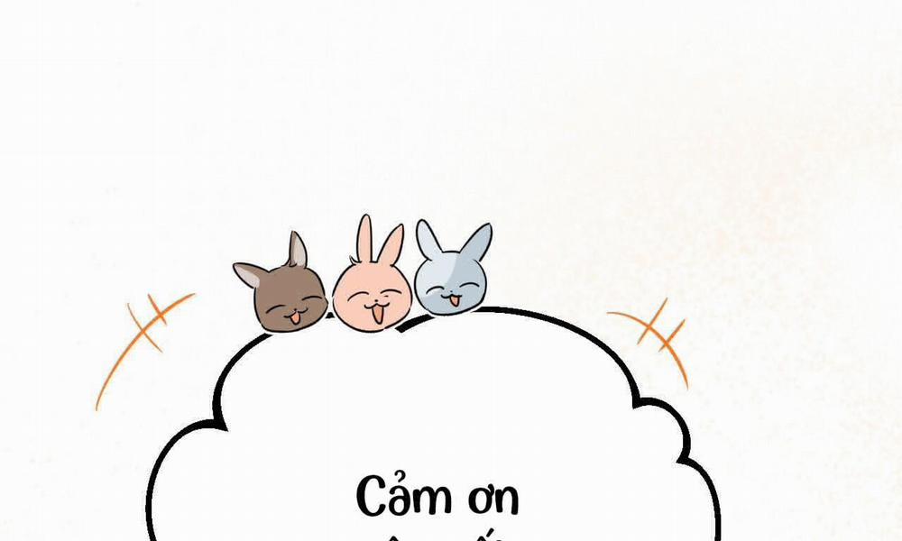 Đàn Thỏ Của Habibi 53 trang 11