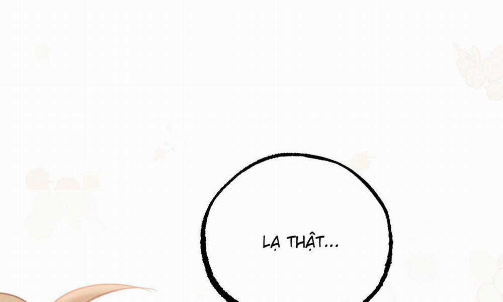 Đàn Thỏ Của Habibi 53 trang 195