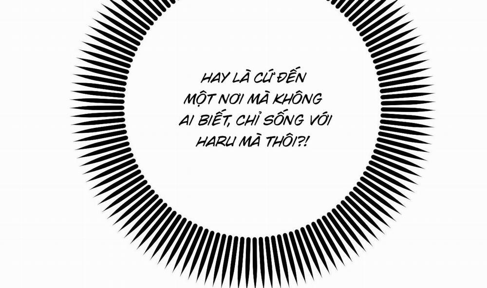 Đàn Thỏ Của Habibi 53 trang 49