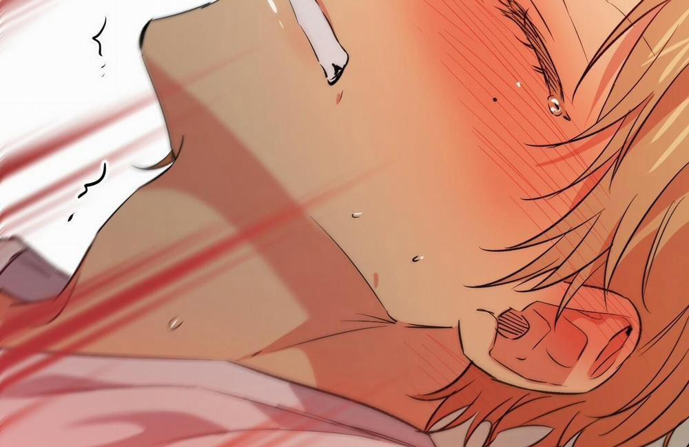 Đàn Thỏ Của Habibi 54 trang 100