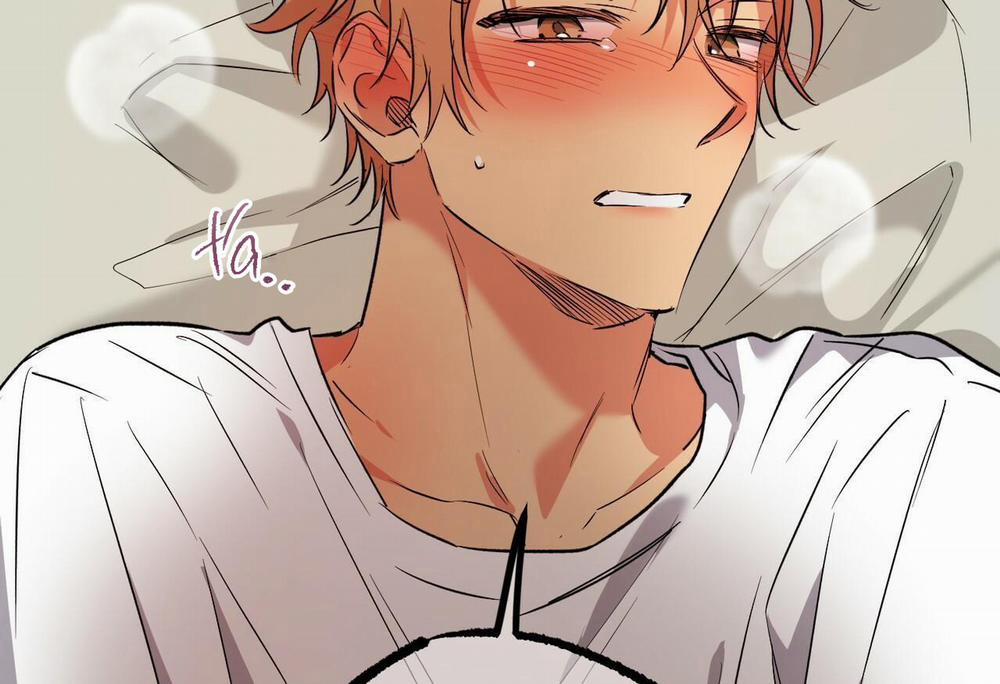 Đàn Thỏ Của Habibi 54 trang 119