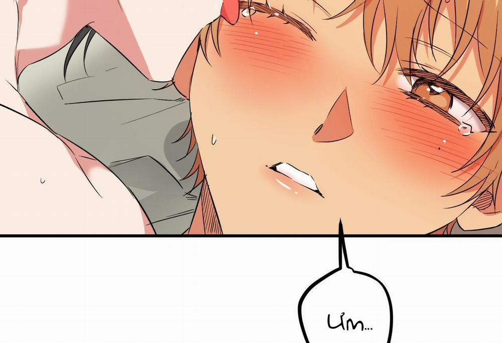 Đàn Thỏ Của Habibi 54 trang 138