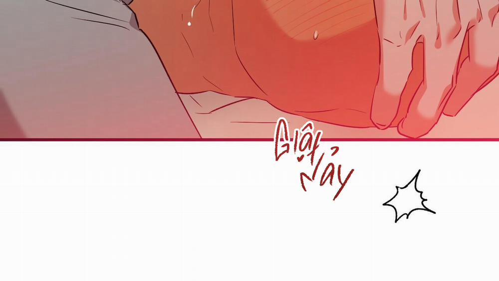 Đàn Thỏ Của Habibi 54 trang 150