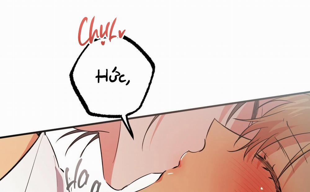 Đàn Thỏ Của Habibi 54 trang 16