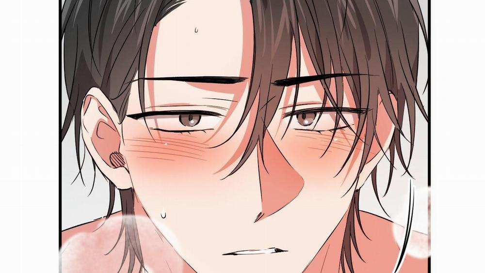 Đàn Thỏ Của Habibi 54 trang 160