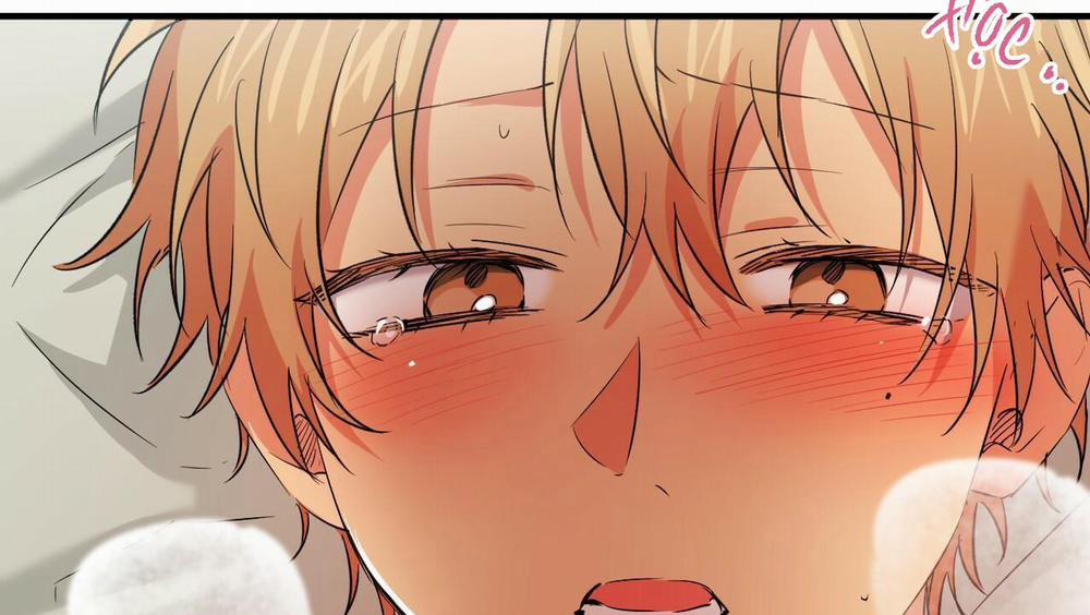 Đàn Thỏ Của Habibi 54 trang 164