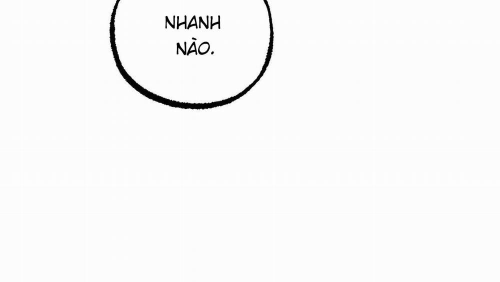 Đàn Thỏ Của Habibi 54 trang 166