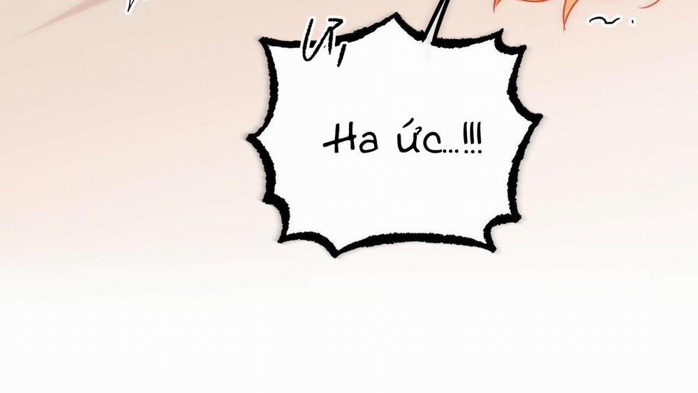 Đàn Thỏ Của Habibi 54 trang 174